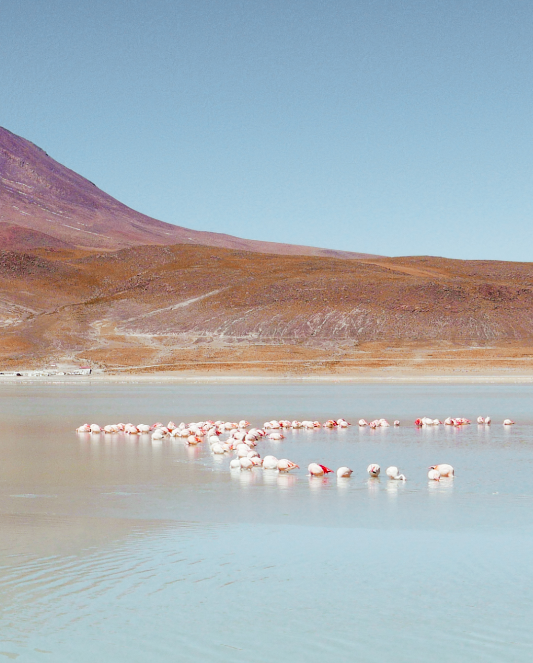 L’itinerario perfetto per un viaggio tra Cile e Bolivia
