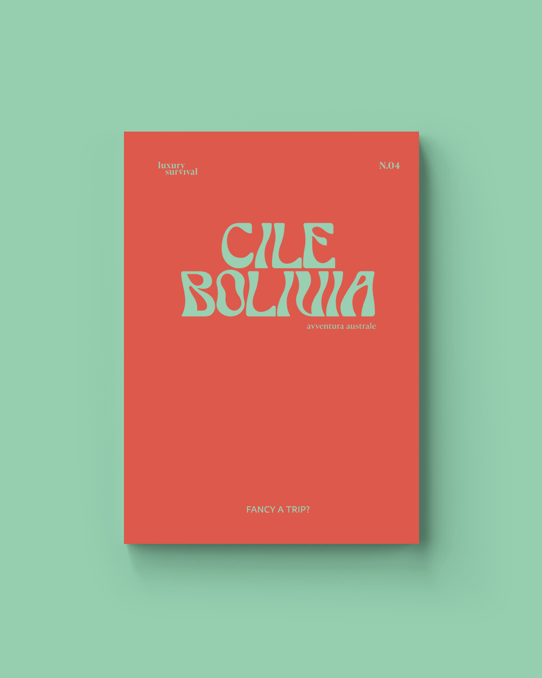 Cile Bolivia - Avventura Australe